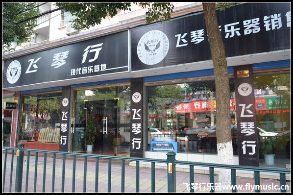 飞琴行 德清门店介绍