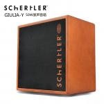 瑞士舒特勒Schertler朱丽叶GIULIA-Y 50W原声吉他音箱