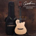 Godin Multiac Nylon Steel Duet Ambiance电箱吉他